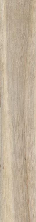 Harper Haya 10 x 60
